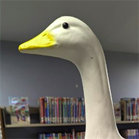Mr Honkeroo